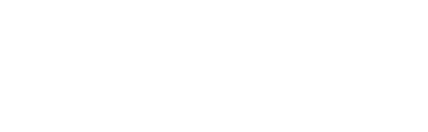NP Logo logo